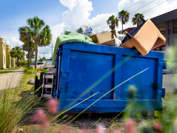 Best Carpet Removal and Disposal  in Wayne, WV